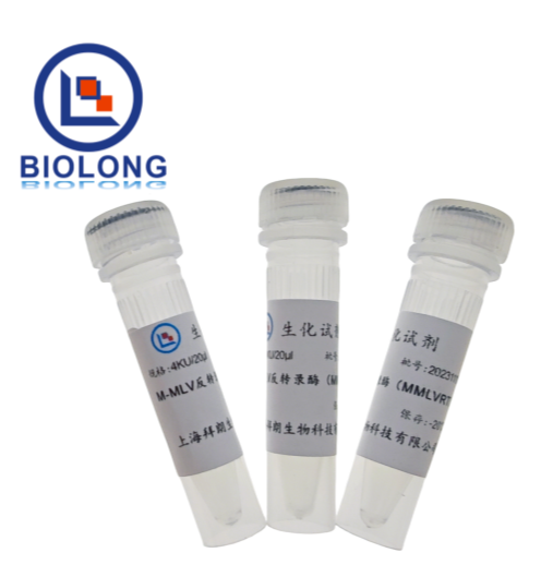 M-MLV反转录酶（MMLVRT）（编号：BLE023-1A） - 1