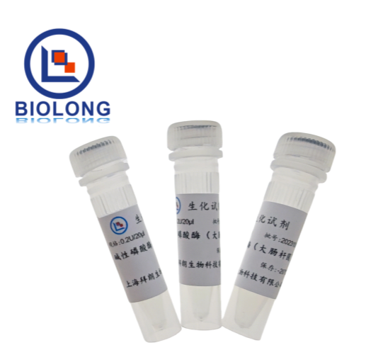 碱性磷酸酶 （大肠杆菌）（编号：BLE021-1B） - 1